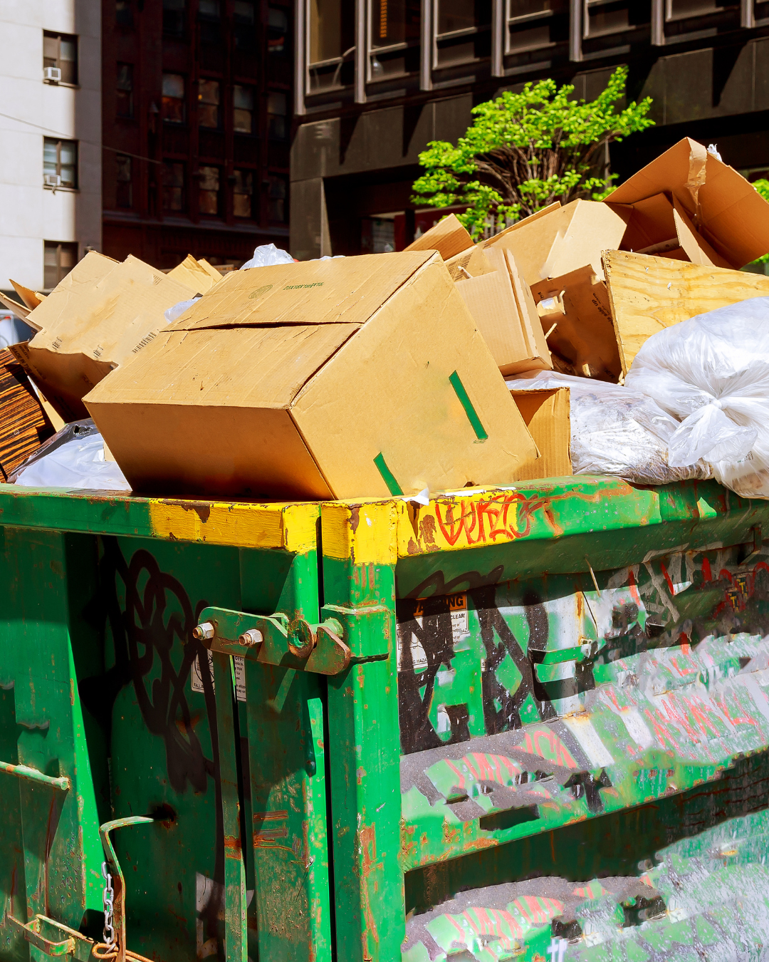 Debris and Junk Removal services in knoxville tn